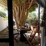 Resort Casa Tomarén