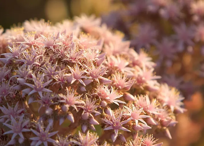 Tomaren 3* Сан-Бартоломе