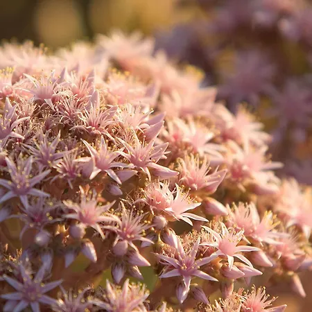 Tomaren 3* Сан-Бартоломе